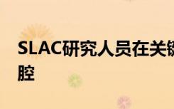 SLAC研究人员在关键结核分子中发现巨大空腔