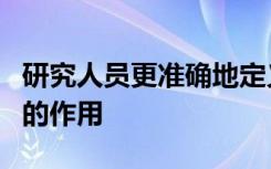 研究人员更准确地定义多巴胺神经元在运动中的作用