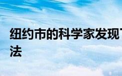 纽约市的科学家发现了追踪老鼠的有价值的方法