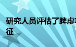 研究人员评估了脾虚功能性消化不良的临床特征