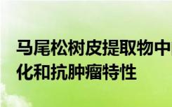 马尾松树皮提取物中的B型原花青素显示抗氧化和抗肿瘤特性