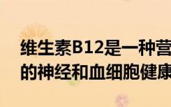 维生素B12是一种营养物质 有助于保持人体的神经和血细胞健康