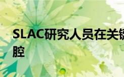 SLAC研究人员在关键结核分子中发现巨大空腔