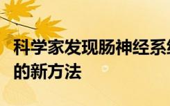 科学家发现肠神经系统提供了研究胃肠道疾病的新方法