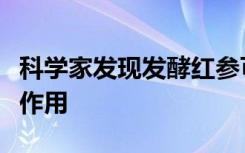 科学家发现发酵红参可以减轻结肠炎药物的副作用