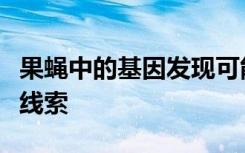 果蝇中的基因发现可能为抵抗线粒体疾病提供线索