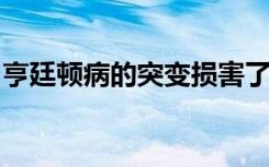 亨廷顿病的突变损害了细胞运动所需的蛋白质