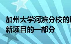 加州大学河滨分校的研究人员是消除动物试验新项目的一部分