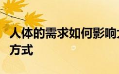 人体的需求如何影响大脑处理视觉食物线索的方式