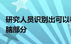 研究人员识别出可以补偿老年人听力损失的大脑部分