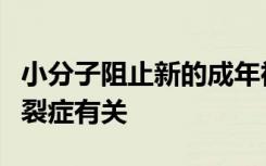 小分子阻止新的成年神经元迷路可能与精神分裂症有关