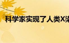 科学家实现了人类X染色体的首次完整组装