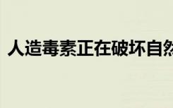 人造毒素正在破坏自然界 并将导致生态崩溃