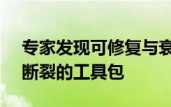 专家发现可修复与衰老和MND相关的DNA断裂的工具包