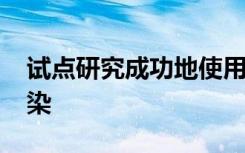 试点研究成功地使用DNA测序来诊断脑部感染