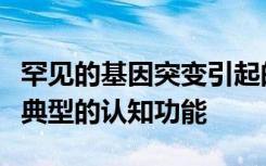 罕见的基因突变引起的神经发育障碍会导致非典型的认知功能