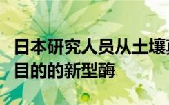 日本研究人员从土壤真菌中发现了可用于工业目的的新型酶