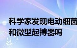 科学家发现电动细菌 它可以制造下一代电池和微型起搏器吗