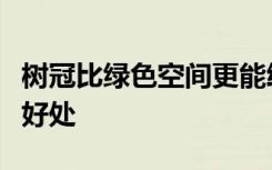 树冠比绿色空间更能给大自然的心理健康带来好处