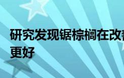 研究发现锯棕榈在改善前列腺健康方面比药物更好