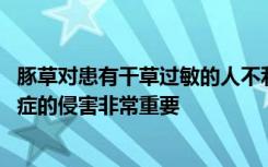 豚草对患有干草过敏的人不利 但对于保护神经免受老年痴呆症的侵害非常重要