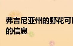 弗吉尼亚州的野花可以告诉我们有关气候变化的信息