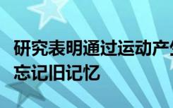 研究表明通过运动产生的新神经元不会导致您忘记旧记忆