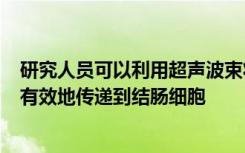 研究人员可以利用超声波束将RNA推进细胞 从而将RNA链有效地传递到结肠细胞