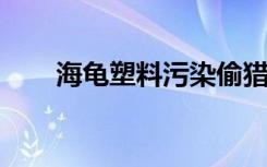 海龟塑料污染偷猎和贫困的解决方案