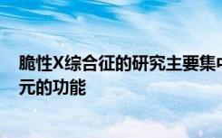 脆性X综合征的研究主要集中于遗传缺陷如何改变大脑神经元的功能