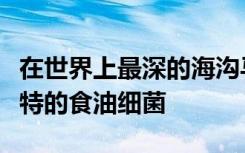 在世界上最深的海沟马里亚纳海沟中发现了独特的食油细菌