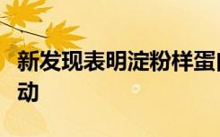 新发现表明淀粉样蛋白原纤维可以在大脑中移动