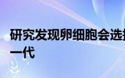 研究发现卵细胞会选择健康的细胞成分传给下一代