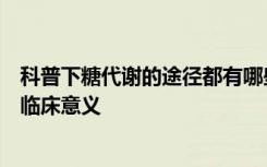 科普下糖代谢的途径都有哪些呢？糖代谢的途径都具有哪些临床意义