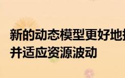 新的动态模型更好地描绘了植物根系如何觅食并适应资源波动