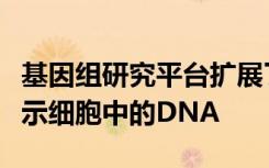 基因组研究平台扩展了实验室技术的使用以显示细胞中的DNA