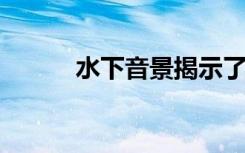 水下音景揭示了海洋环境的差异