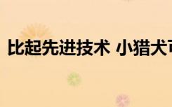 比起先进技术 小猎犬可以更准确地嗅出肺癌