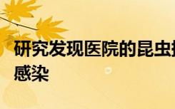 研究发现医院的昆虫携带足够的细菌可以引起感染