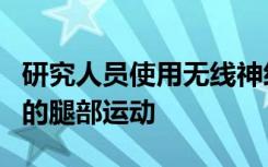 研究人员使用无线神经接口恢复了灵长类动物的腿部运动