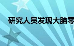 研究人员发现大脑零件清单可以帮助治疗