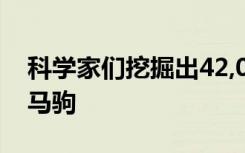 科学家们挖掘出42,000年历史保存完好的小马驹