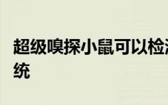 超级嗅探小鼠可以检测地雷并解码人类嗅觉系统