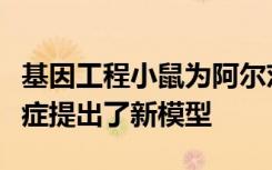 基因工程小鼠为阿尔茨海默氏症如何引起痴呆症提出了新模型