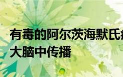 有毒的阿尔茨海默氏症蛋白通过细胞外空间在大脑中传播