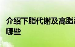 介绍下脂代谢及高脂蛋白血症知识点复习题有哪些