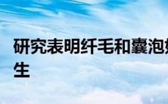 研究表明纤毛和囊泡如何促进细胞外囊泡的产生