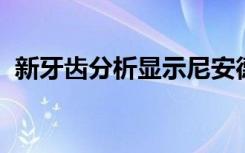 新牙齿分析显示尼安德特人大多是食肉动物