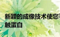 新颖的成像技术使您可以更仔细地观察单个突触蛋白