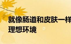 就像肠道和皮肤一样 眼睛也是多种微生物的理想环境